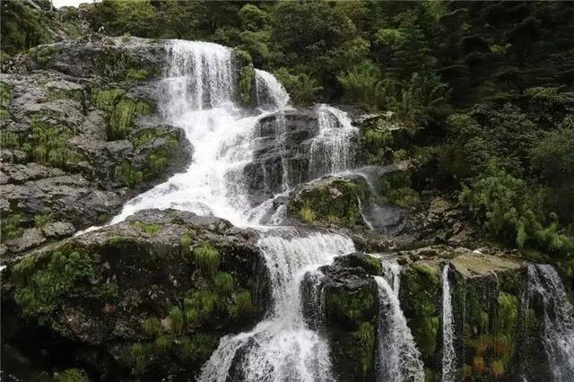 冷知识分享平台 - 惊人的贿选能请律师代理诉讼?贿选能进入司法程序?你从未听说过的冷知识